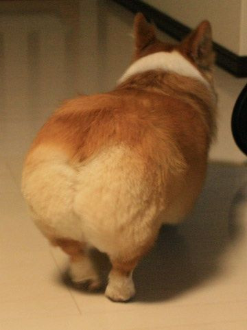 やっくる