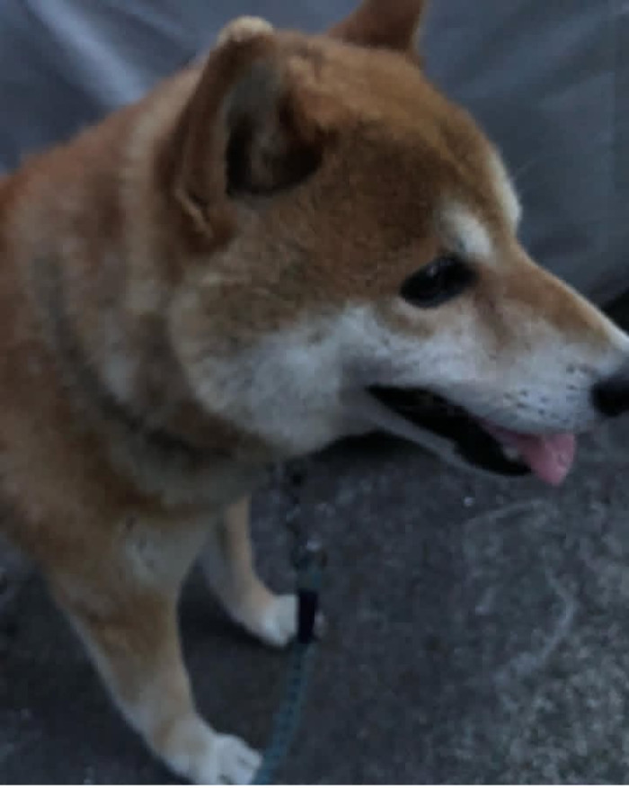 Kanako