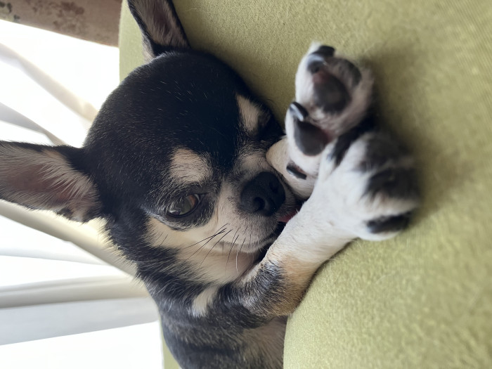 ちゃん