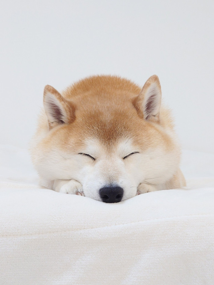 りっく