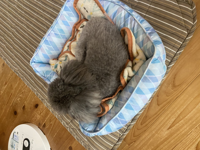 らい