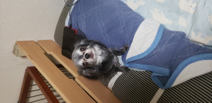 めぐちゃん
