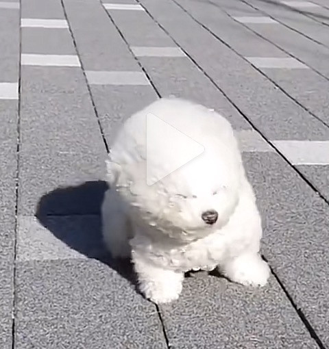 おつ