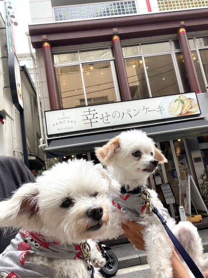 しんちゃん