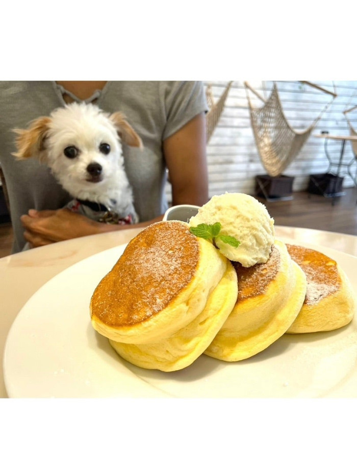 しんちゃん