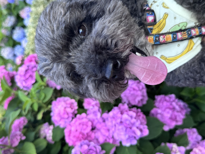 みぃ