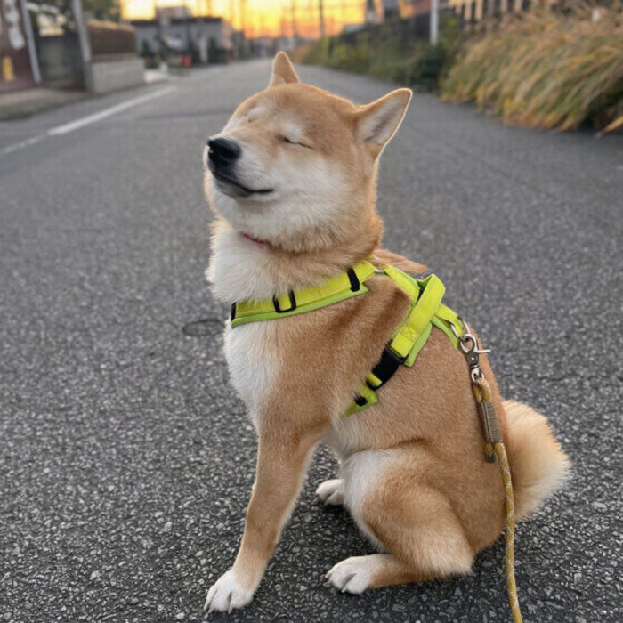 あいうえと