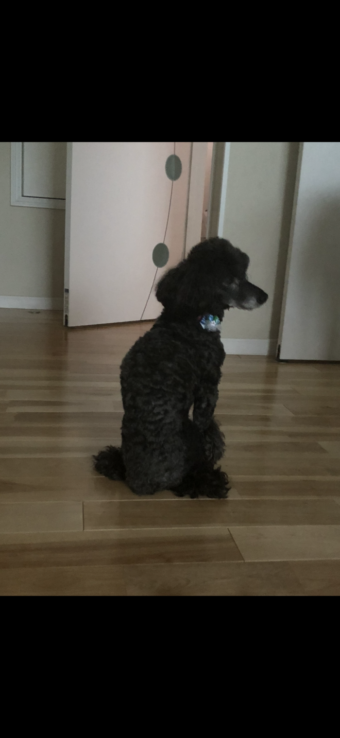 みー