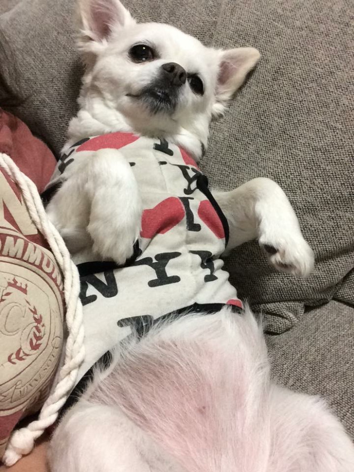 tdtptwd
