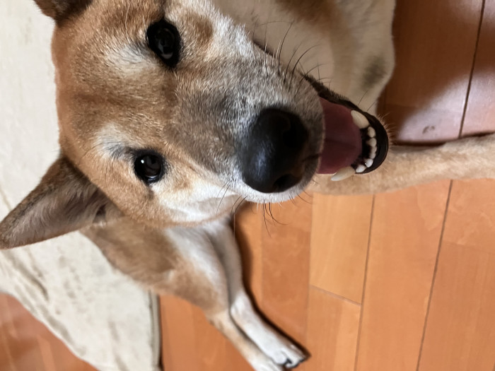 スラすん