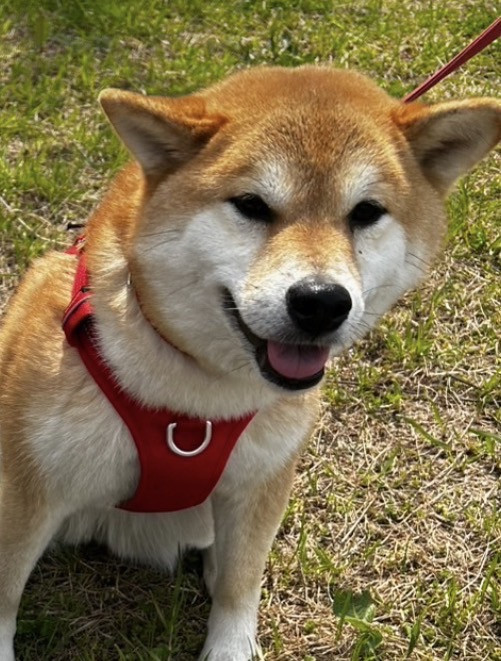 まさやん