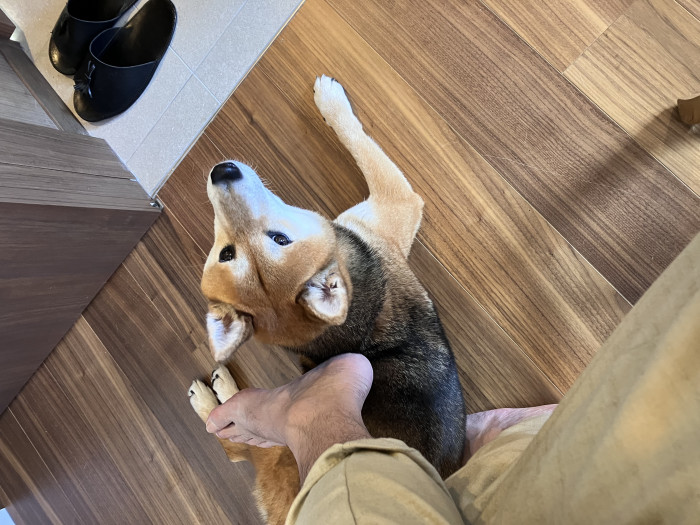 スラすん
