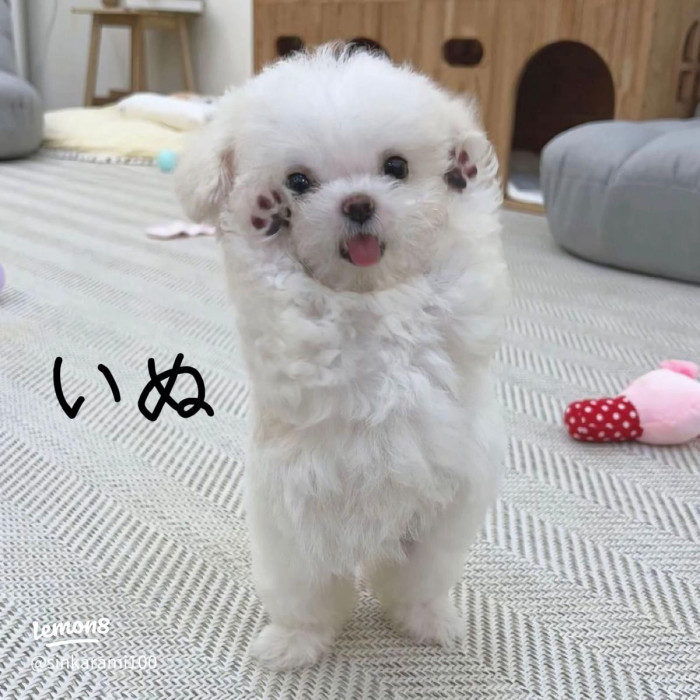 なみ