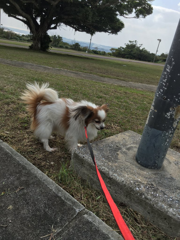 み