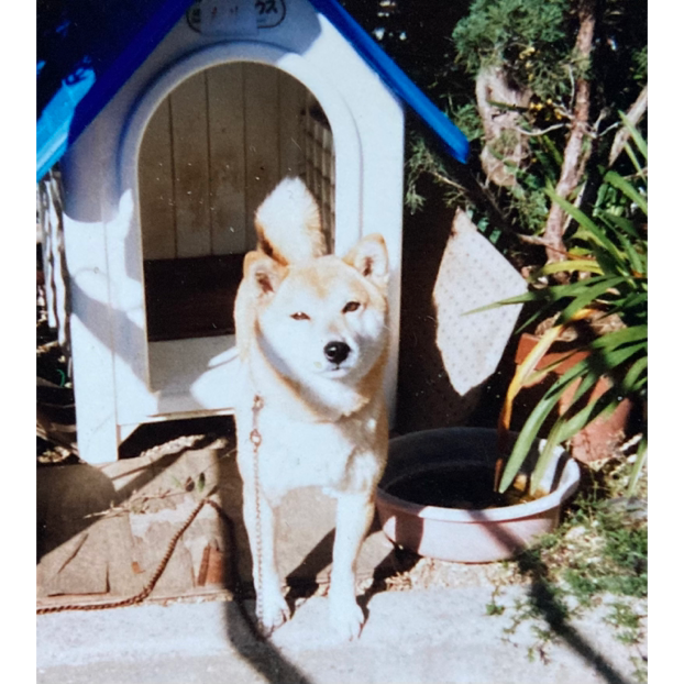 yuki