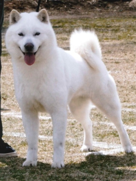 atsuro