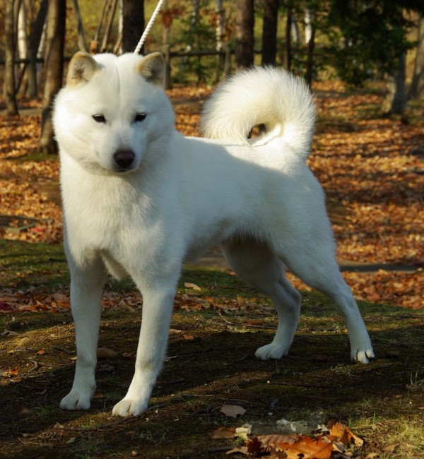 atsuro