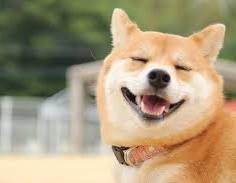 あいす