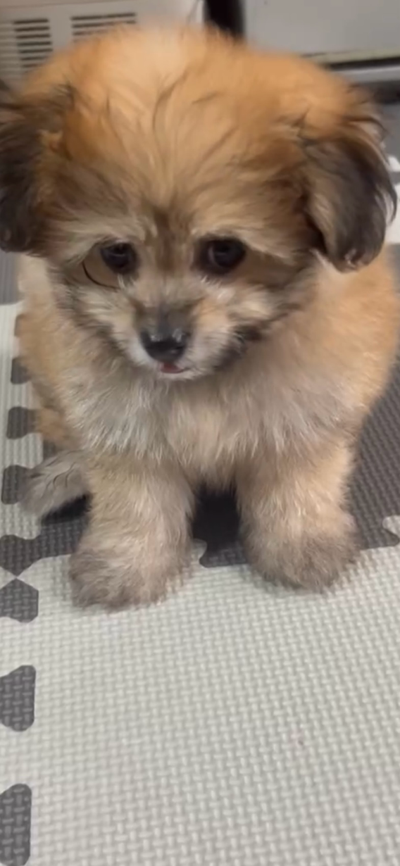 あーた