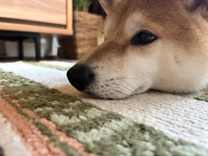 たーちん