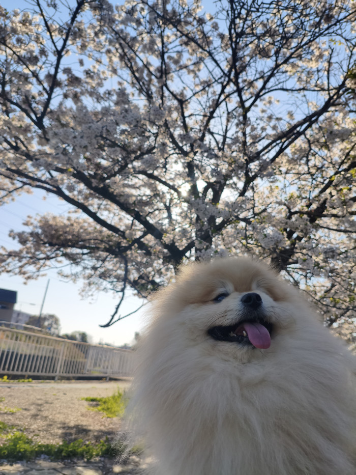 多彩