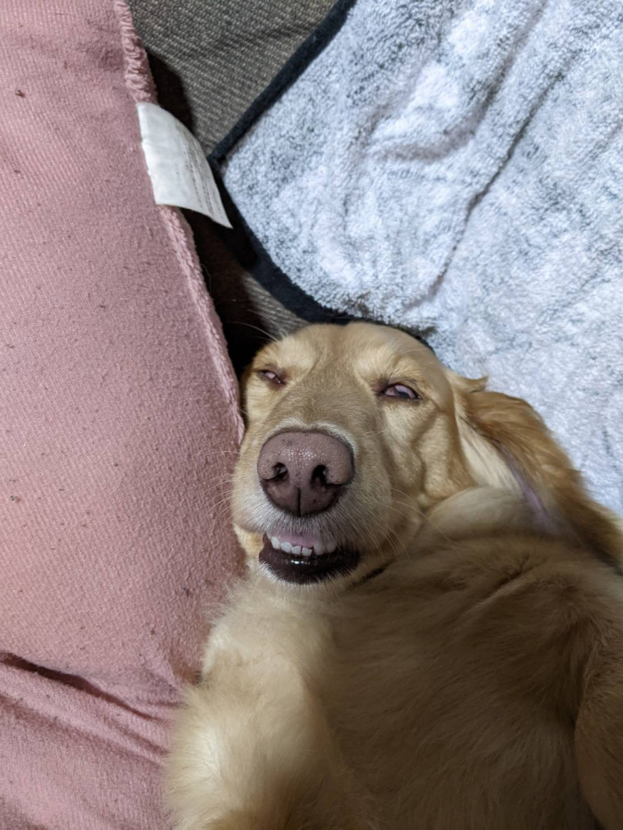 あさ