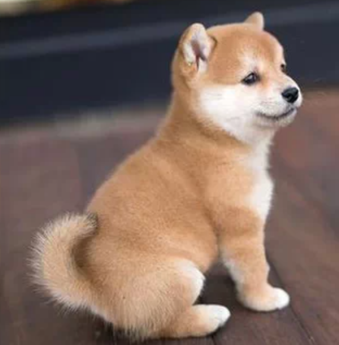 あ～る