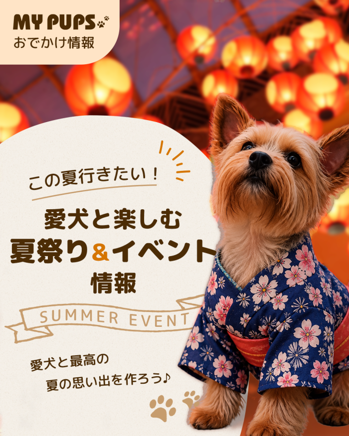MYPUPS運営事務局公式アカウント