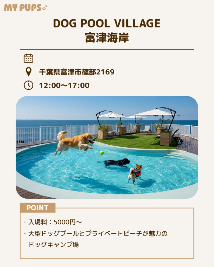 MYPUPS運営事務局公式アカウント