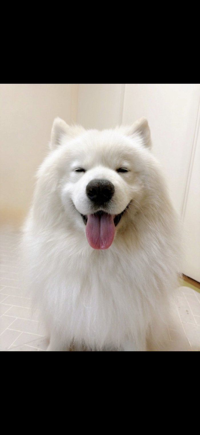 けい