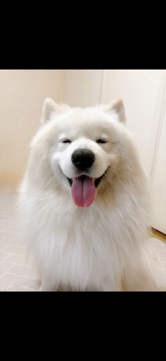 けい