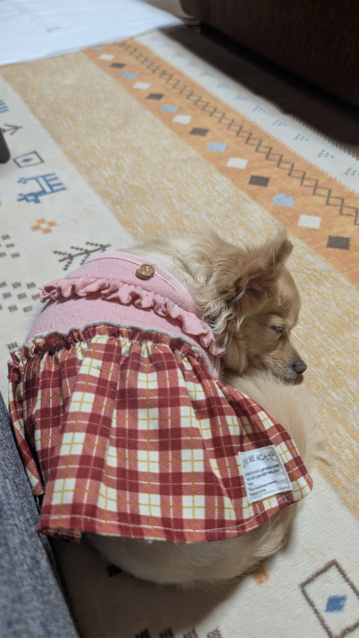 さり