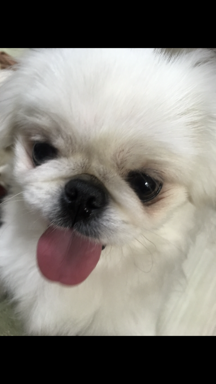 ぶらん