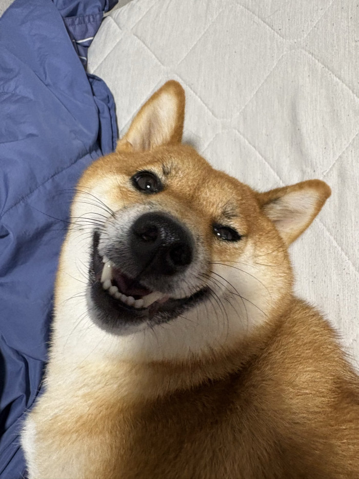 ひるよ