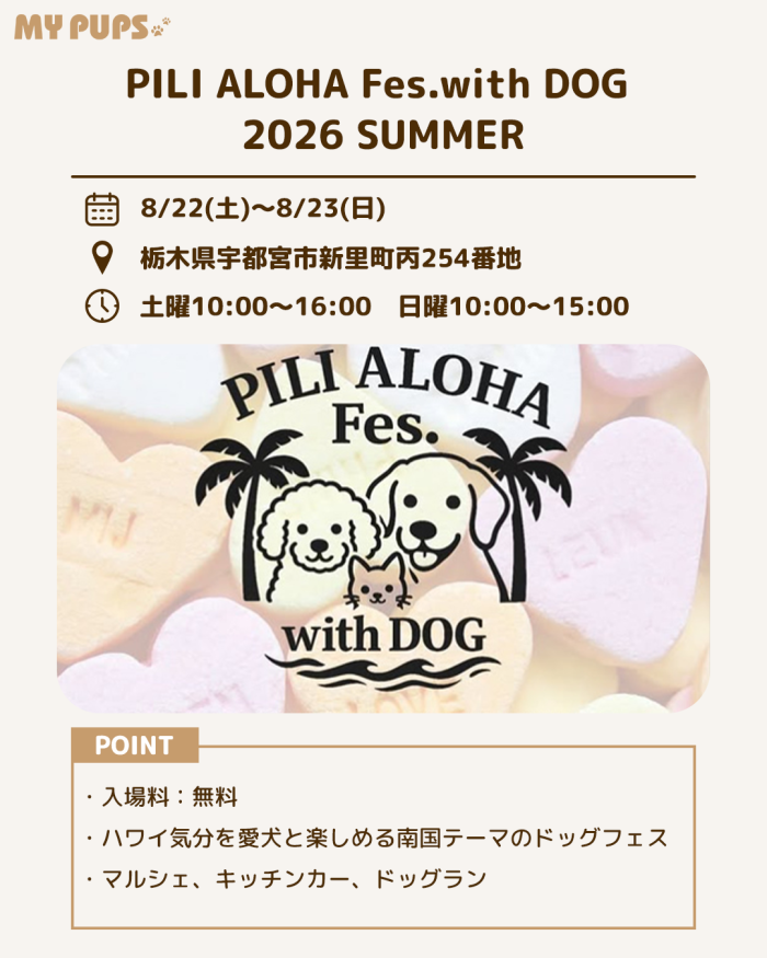 MYPUPS運営事務局公式アカウント