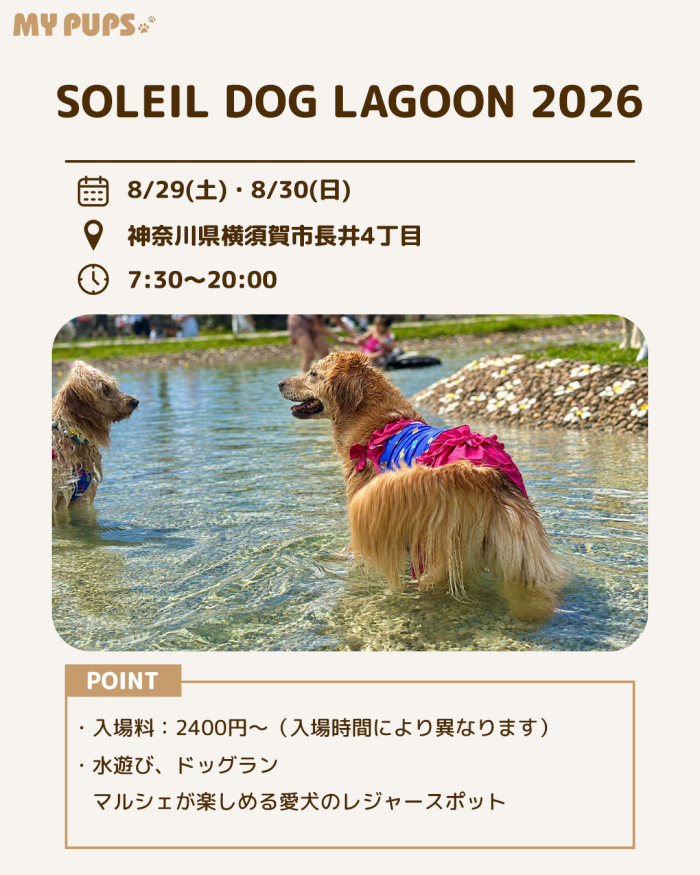 MYPUPS運営事務局公式アカウント