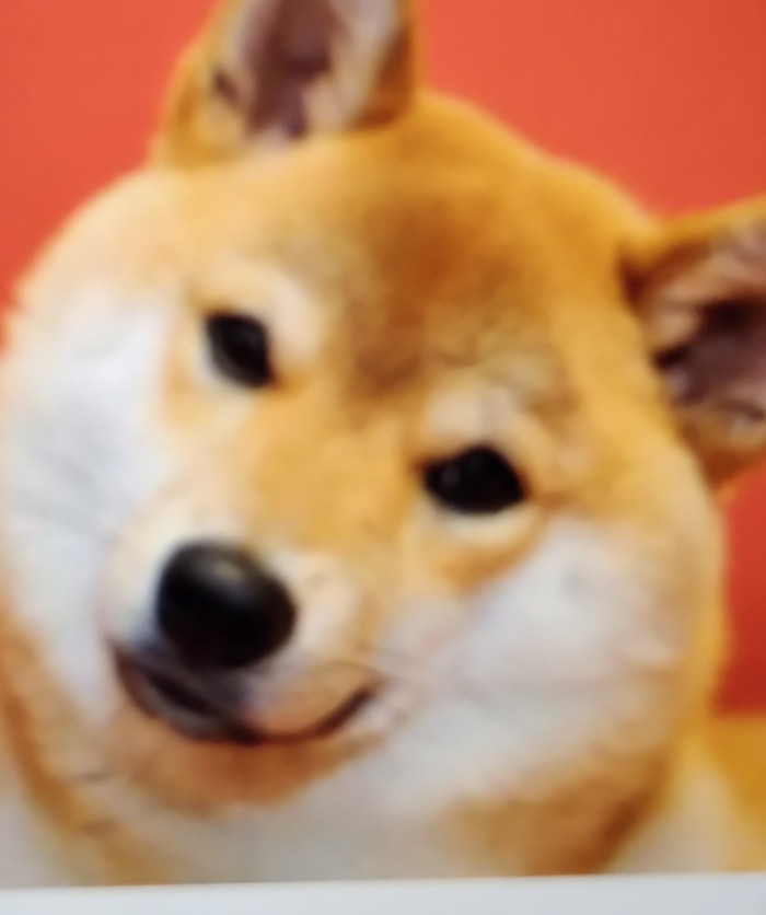 みぞぐち