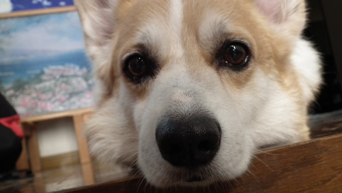 フルボディ