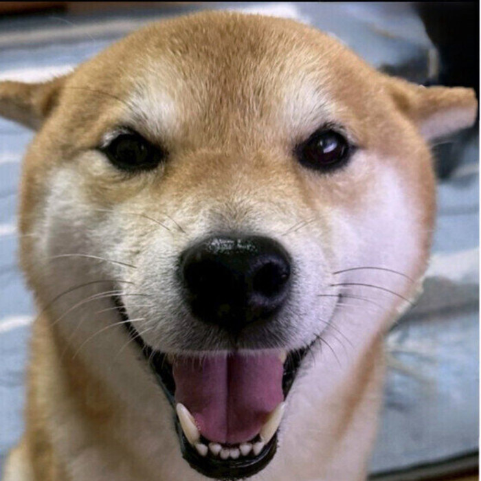 ryou