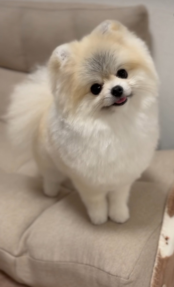 あらたかはんそん