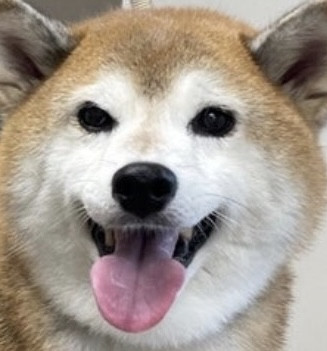 たら