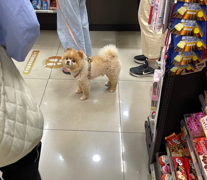 ぬぉー