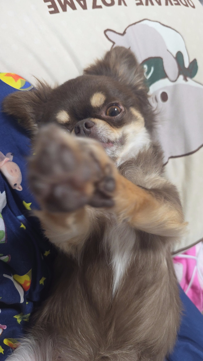 れい