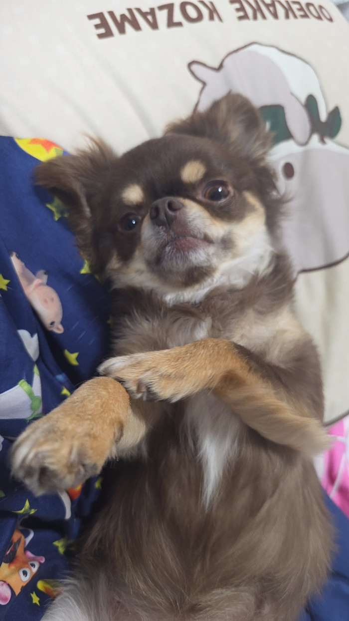 れい