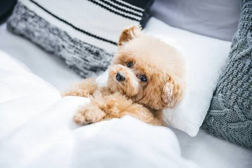 ふうた