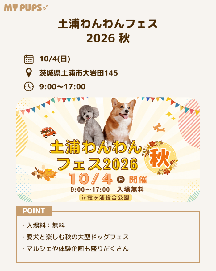 MYPUPS運営事務局公式アカウント