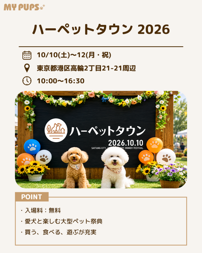 MYPUPS運営事務局公式アカウント