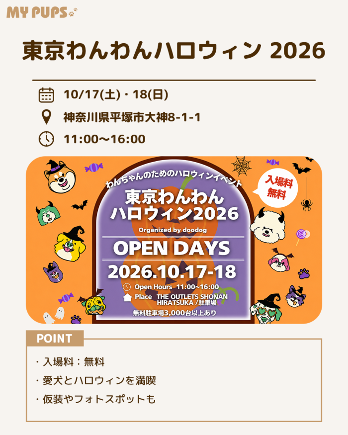 MYPUPS運営事務局公式アカウント