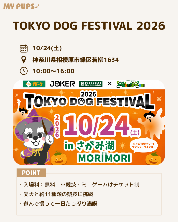 MYPUPS運営事務局公式アカウント