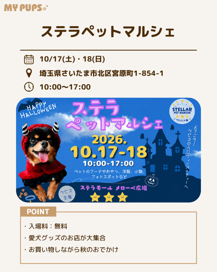 MYPUPS運営事務局公式アカウント